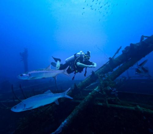 DCIM100GOPROGOPR2740.JPG