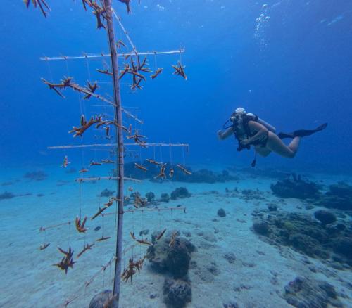 DCIM100GOPROGOPR2774.JPG